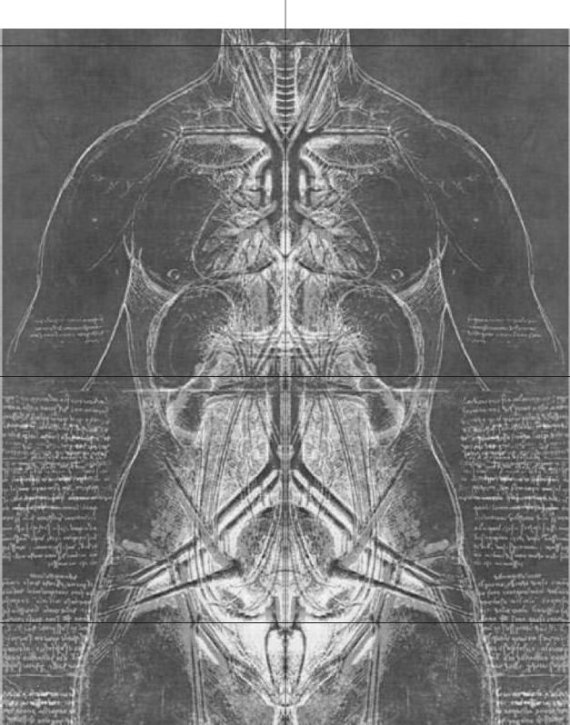 Anatomia del corpo umano Leonardo